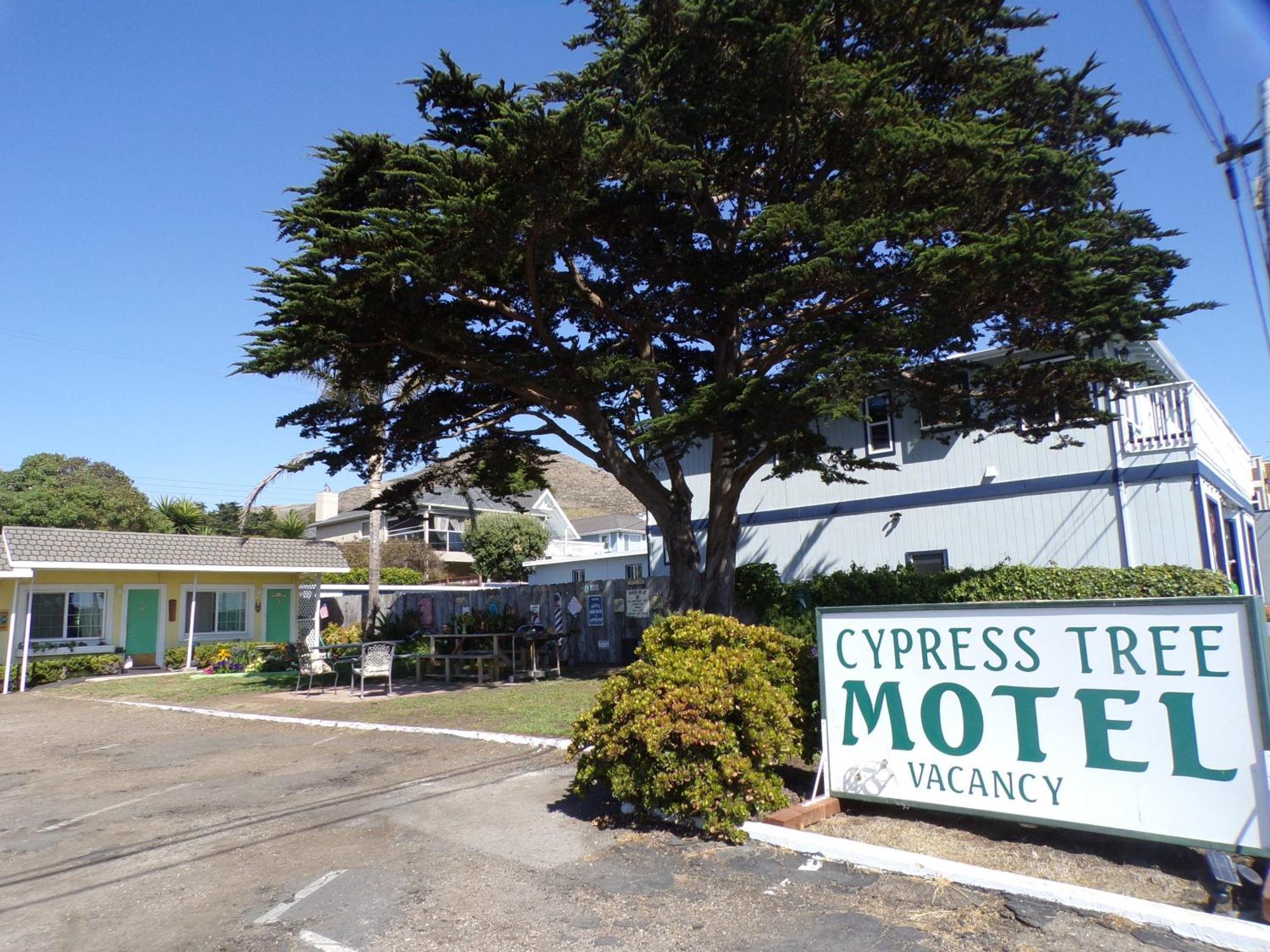 Cypress Tree Motel Cayucos Eksteriør billede